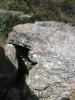 Le dolmen photographié depuis la route